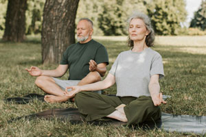 active older veterans
