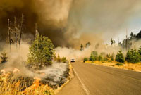 wildfires